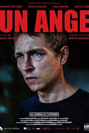 Ангел онлайн