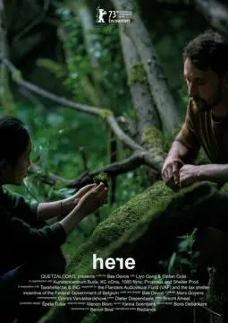 Здесь онлайн